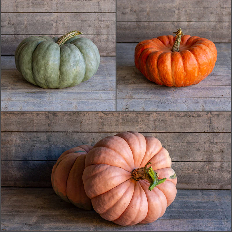 Miniatuur 1