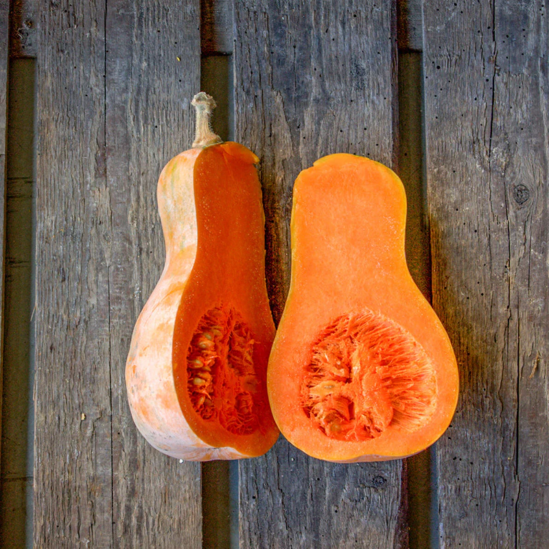 Flespompoen - Betternut 401 F1 - Image 2