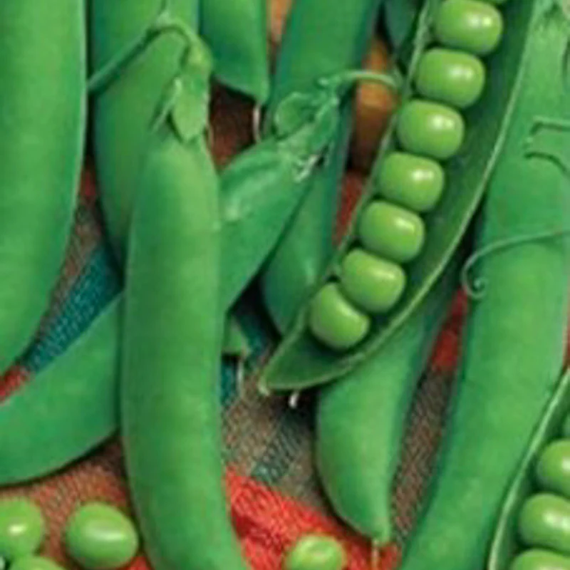 Doperwten - Groene Krombek