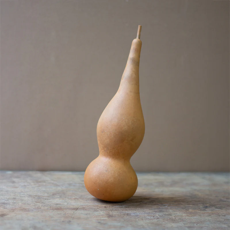 Fleskalebas - Xiaohulu - Image 2