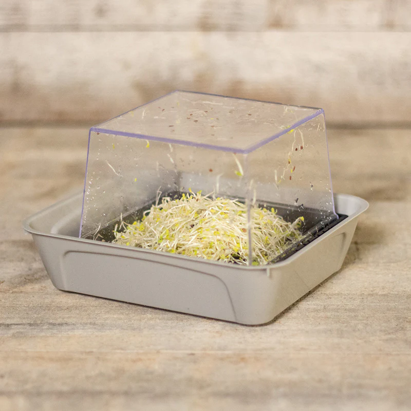 Miniatuur 1