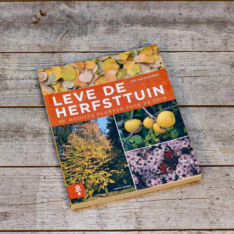 Leve de herfsttuin