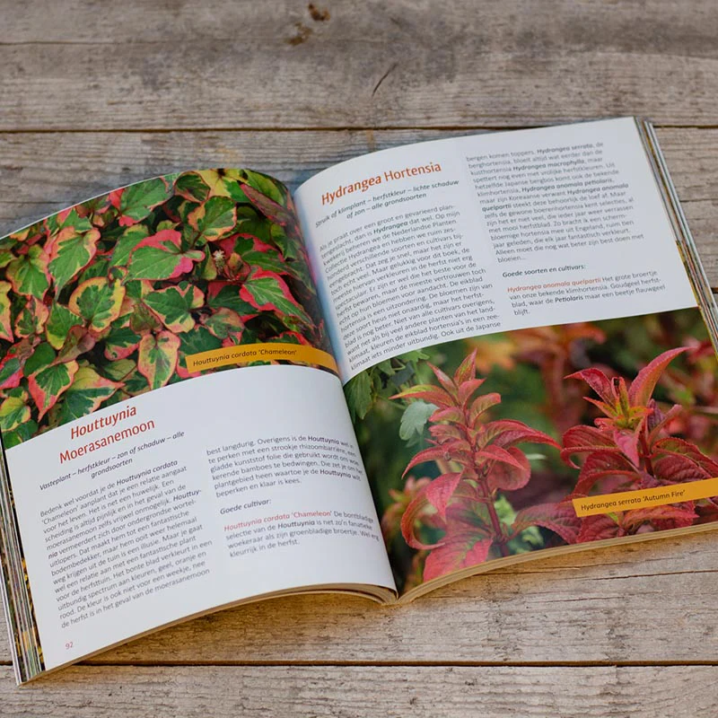 Leve de herfsttuin - Image 2