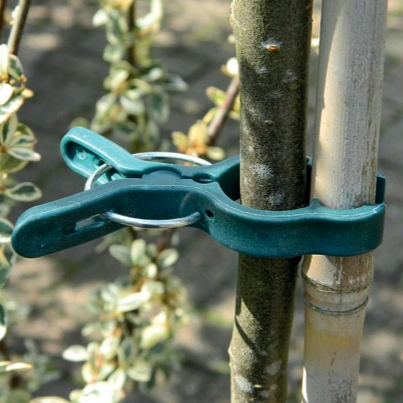 Plantenclips groot - Garland Products - Image 2