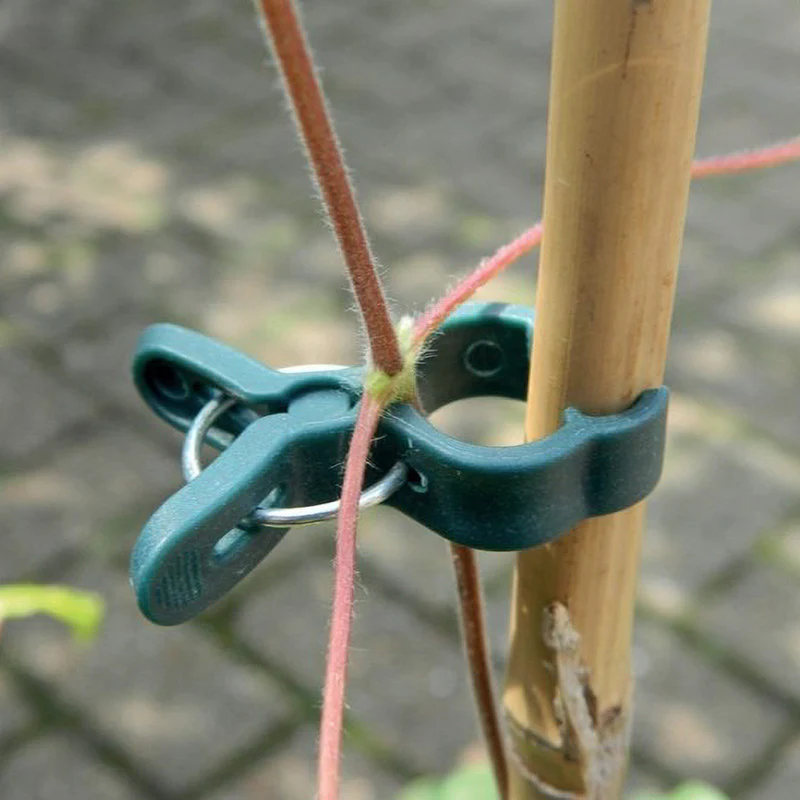 Plantenclips klein - Garland Products - Image 2