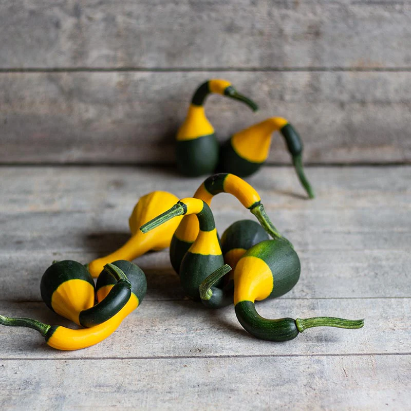 Miniatuur 1