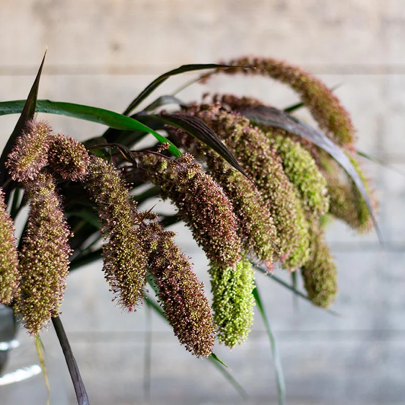 Miniatuur 2